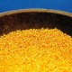 Image: Gold Prices Steady Amid U.S.-China Talks and Iran Tensions