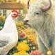 Image: Horoscope Insights for September 17: Opportunities and Challenges