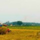 Image: How to Convert Agricultural Land with Houses to Residential Land