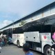 Image: Over 1,300 Workers from Dong Nai Enjoy Trip to Nha Trang