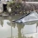 Image: Tragic Car Accident in Hai Phong Claims Lives of Couple