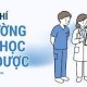 Image: Tuition Fees at Hue University of Medicine and Pharmacy for 2026