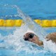 Image: Vietnam's Huy Hoang Advances to 400m Swimming Finals at Asiad 20