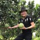 Image: Vietnamese Singer Tuan Vu's Passion for Gardening in the U.S.