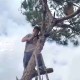 Image: Young Man Fined 35 Million VND for Cutting Down Tree in Da Lat