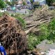 Image: Fallen Tree Causes Traffic Chaos in Central Ho Chi Minh City