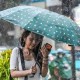 Image: Hanoi Prepares for Heavy Rain and Thunderstorms