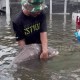 Image: Residents Rescue Giant Carp Swimming in Flooded Street