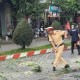 Image: Traffic Police Clear Fallen Trees to Ensure Safe Passage for Citizens