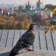 Image: Ukraine to Experience Hottest Day of October