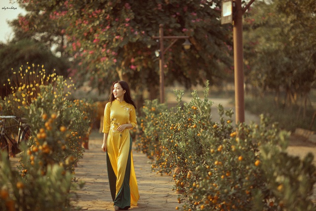 A young girl from Thanh is as beautiful as a muse, walking to welcome Spring early