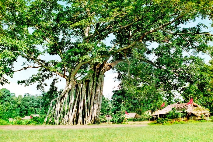 Explore 7 famous monuments in the complex of Tan Trao relic