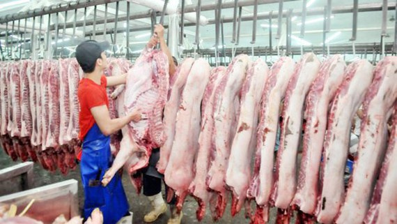 HCMC fixes selling prices of pork for Tet holidays