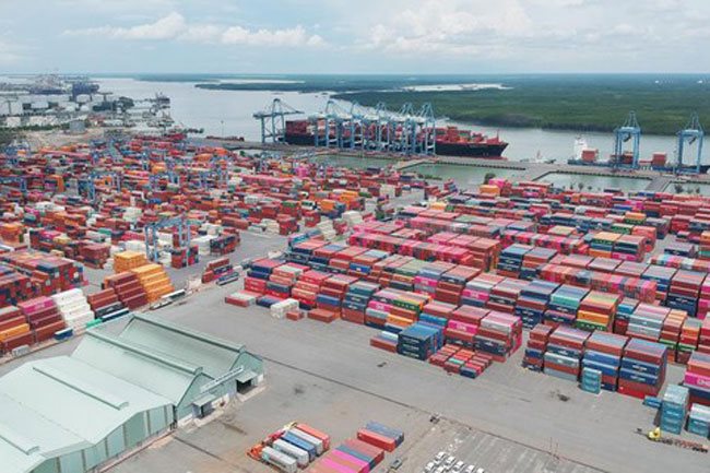 HCMC puts steel bridge replacing An Phu Dong ferry into service