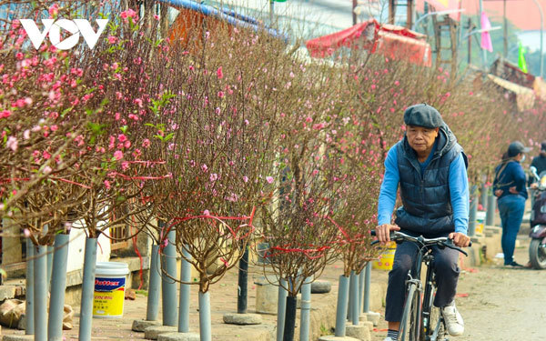 Bustling flower market ahead of lunar New Year holiday