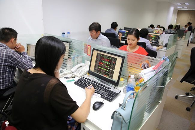 Stock markets stage strong rally