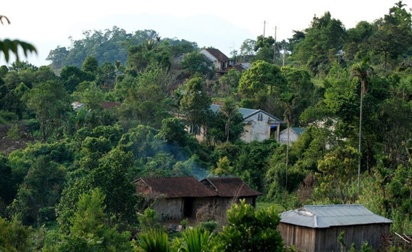 Cor ethnic people dedicated to protecting the forest