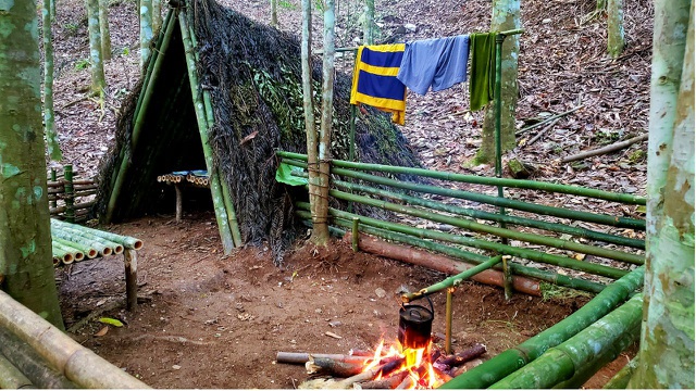 The boy left the street to the forest: Grilled fish on rocks, boiled eggs in a cork