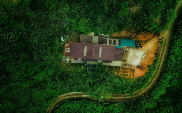 The boy who dropped out of studying abroad came back to Da Lat to build a lovely wooden house, work on a farm, and tell his own youth story.