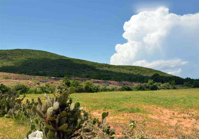 The tranquil, soothing hill in Binh Thuan