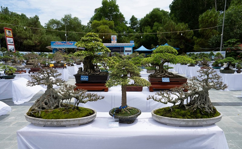 Hanoi Ornamental Creatures Festival 2021 underway