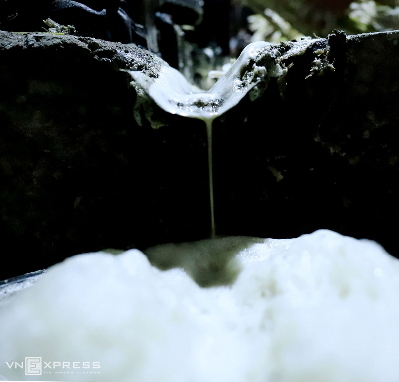 In central Vietnam, buffalo power makes sugar