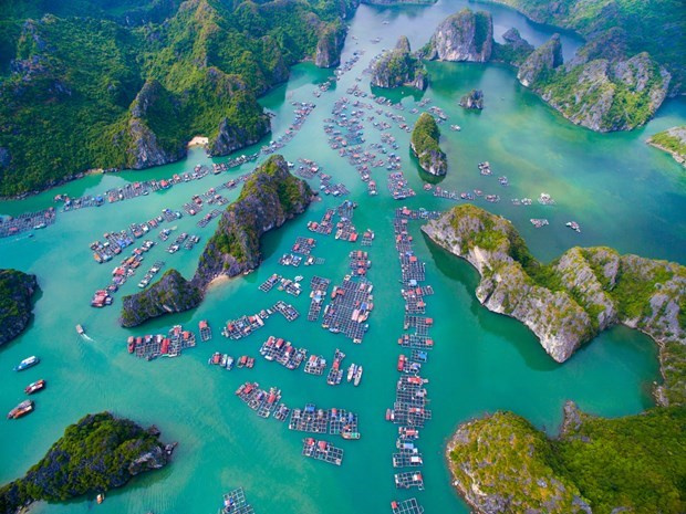 Vietnamese tourism – From zero to Number 1
