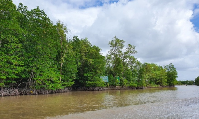 Weekend getaway to Ca Mau mangrove forest