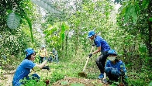 Vietnam to plant 1 billion new trees to cope with climate change, natural disasters