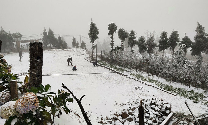 Vietnamese amazed at snow-capped northern mountains