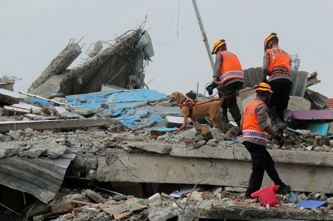 Sulawesi quake death toll at 81 as Indonesia battles series of disasters