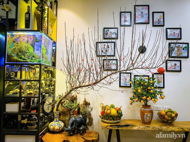 56m² apartment warmly warm spring with hundreds of bonsai trees and flowers in Hanoi