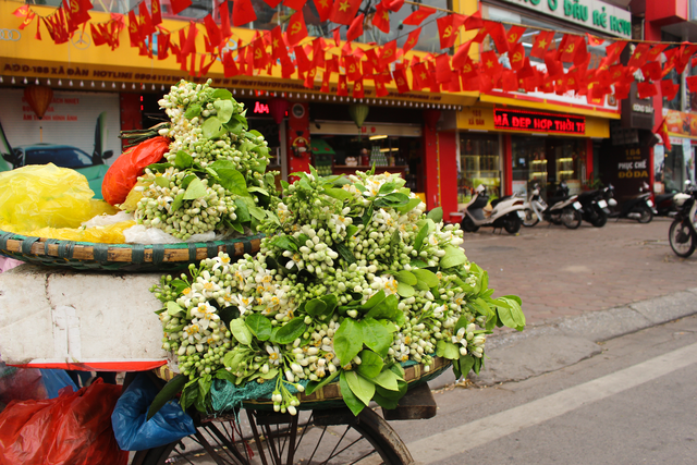 Bored of tomorrow, bored with peaches, Ha Noi people “change the wind” to buy flowers in the countryside