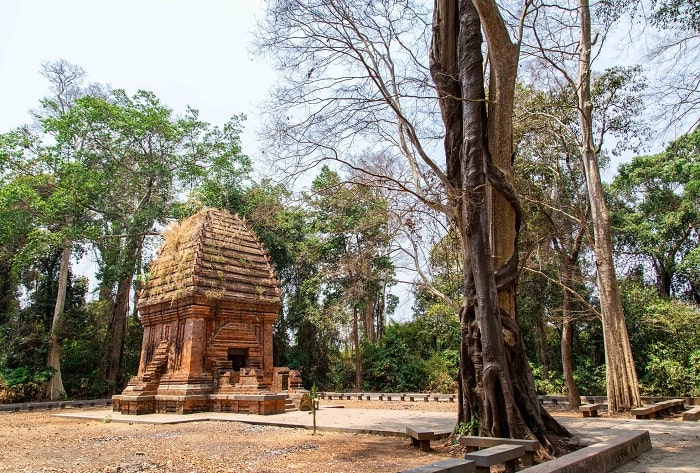 Cham Tower Yang Prong – mysterious beauty of Cham among the great thousands of Dak Lak