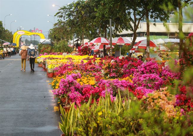 HCMC opens Binh Dien Tet flower market