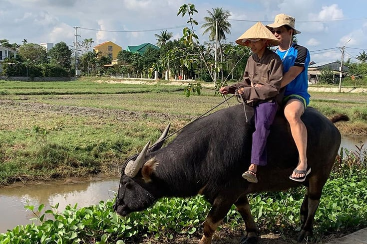 Hoi An buffalo tours Unique and amazing experience for foreigners ...