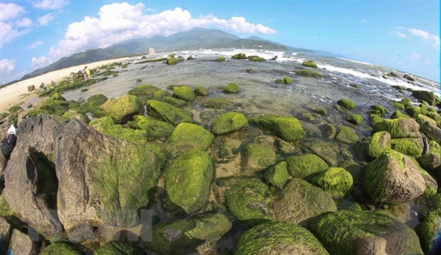 Nam Ô Reef, the green pearl of Đà Nẵng