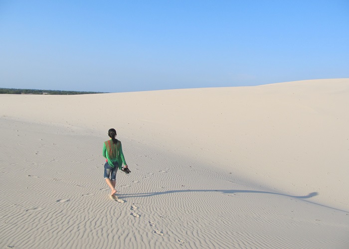 Quang Tri tourism admires the beautiful Nhi Ha golden sandhill