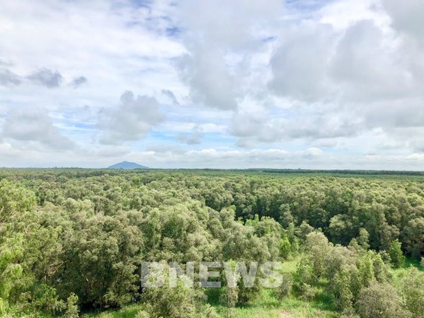 Forest environmental services to bring about 2.8 trillion VND in 2021