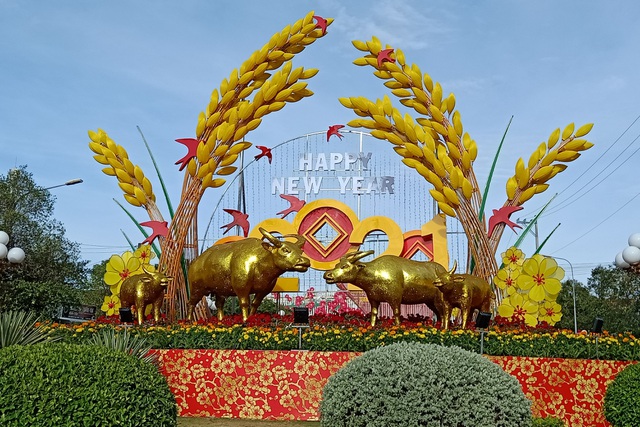 The largest square, Mekong Delta, brilliantly beautiful small scene to welcome the New Year of the buffalo