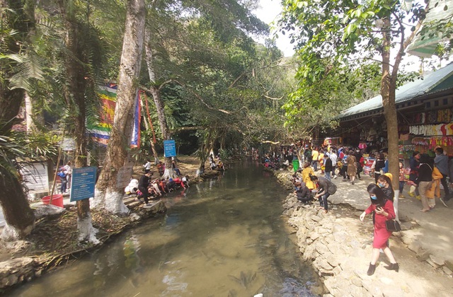 Thousands of people crowded to watch the “magic fish” on New Year’s Day