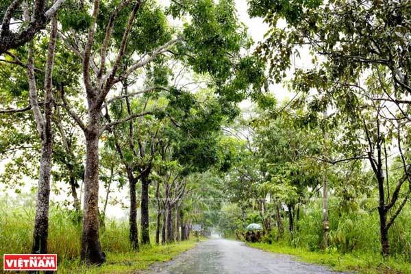 Discovery of U Minh Thuong National Park