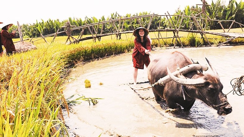 Travel on buffalo back