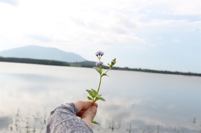 A weekend tour of Nui Le Lake with friends