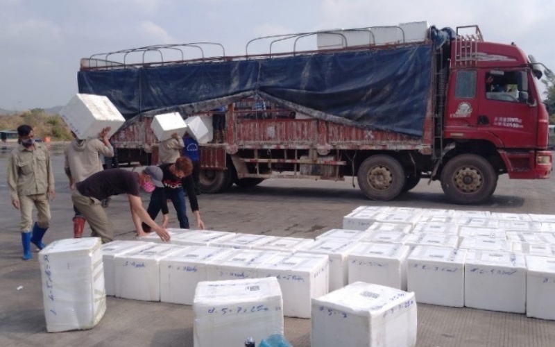 Agricultural exports through Mong Cai border gate soar sharply
