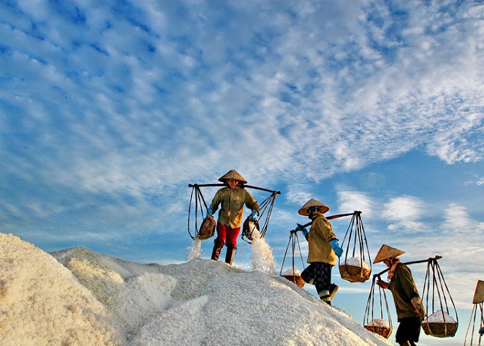 Discover the beauty of the largest Phuong Cuu salt field in Central Vietnam