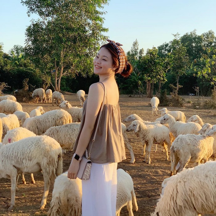 Going to Dong Nai Sheep Field for 1 day » Vietnam News - Latest Updates and World Insights | Vietreader.com