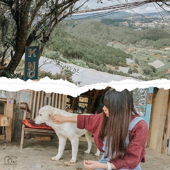Kong Cafe Dalat – a tourist destination for art-loving souls