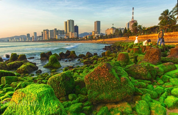 Nha Trang green moss beach – such a beautiful check-in point on the edge of the beach