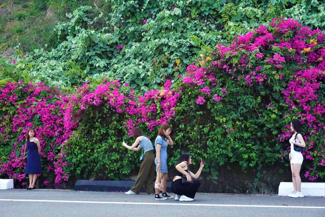Picturesque confetti street in Da Nang